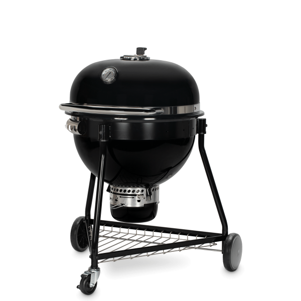 Weber on sale summit charcoal